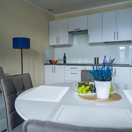 Kamienica 6 Apartamenty Ustron * Ustron